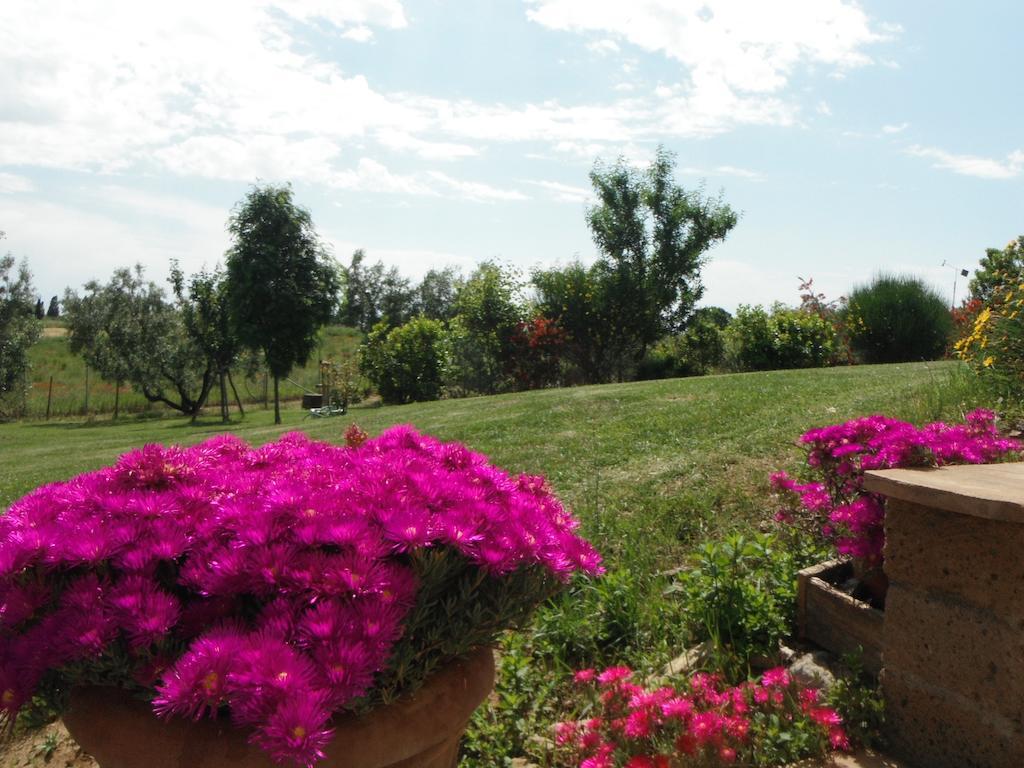 Locanda Degli Etruschi Montalto di Castro Zewnętrze zdjęcie