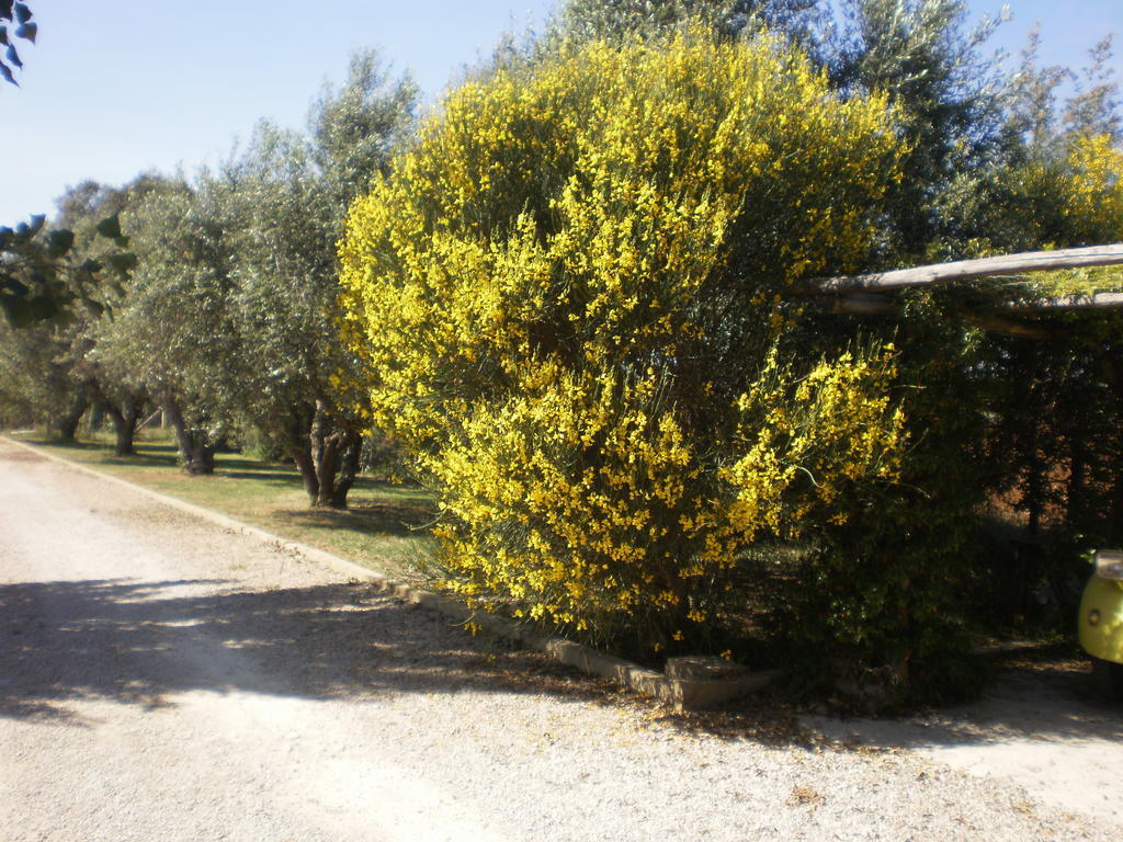 Locanda Degli Etruschi Montalto di Castro Zewnętrze zdjęcie